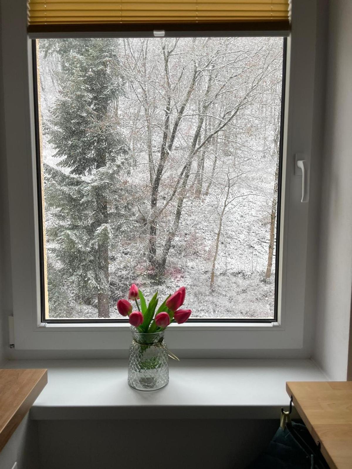 Apartman Claudia - Rezidence K Lanovce Jáchymov Extérieur photo